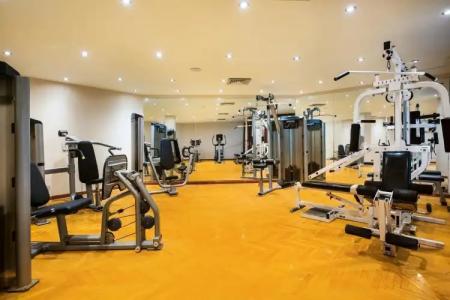 Pyramisa Island Aswan - 23