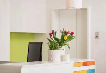 1st Creatif Elephant - 1