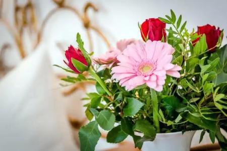 Laimer Hof am Schloss Nymphenburg - 104