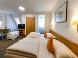 Standard Triple room with city view