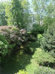 AMENITY - 10