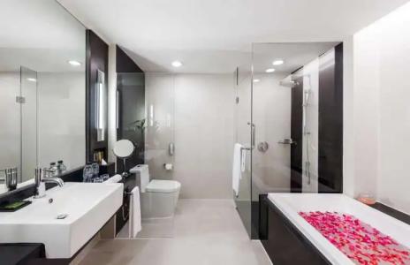 Radisson Suites Bangkok Sukhumvit - SHA Extra Plus - 108