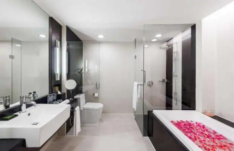 Radisson Suites Bangkok Sukhumvit - SHA Extra Plus - 113