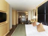 1 Bedroom Deluxe Suite with city view