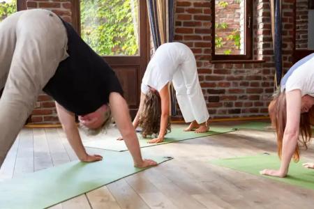 Land Gut Höhne - 26