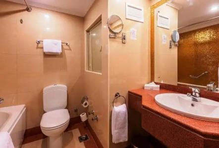 Golden Tulip Flamenco Cairo - 111