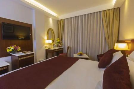 Golden Tulip Flamenco Cairo - 102