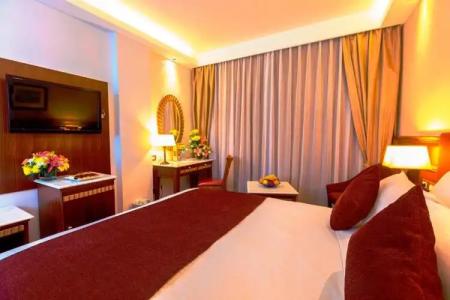 Golden Tulip Flamenco Cairo - 118