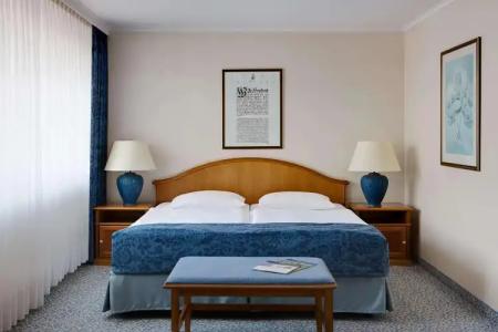 Dorint ParkMeißen - 32