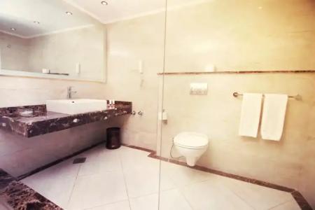 Pyramisa Suites Cairo - 87