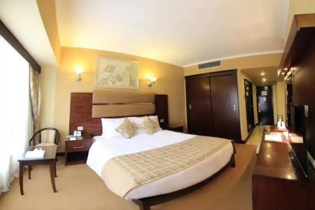 Pyramisa Suites Cairo - 38