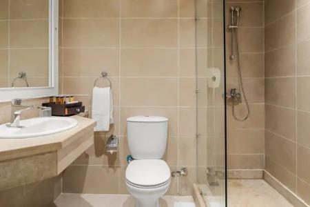 Pickalbatros Aqua Park Resort - 106