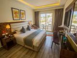 Deluxe Double room with garden view