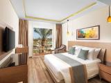 Deluxe Double room with pool view