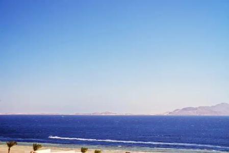 Sunrise Remal Beach Resort - 104