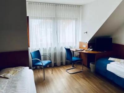 & Restaurant Goldener Pflug - 36