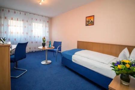 & Restaurant Goldener Pflug - 33