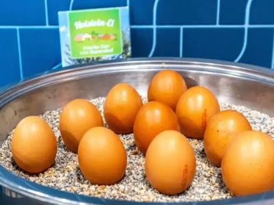 Mercure Luebeck City Center - 11