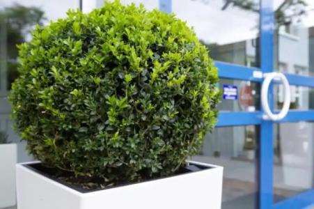 in den Herrnwiesen - 18