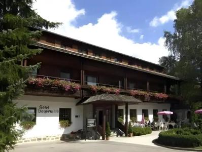 Das Bayerwald - 10