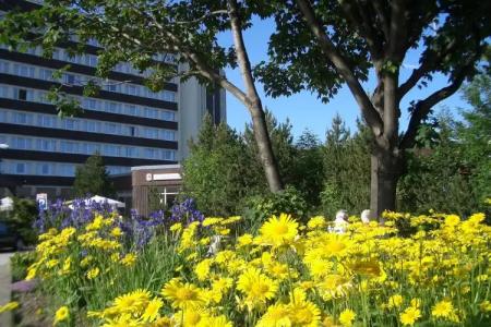 AHORN Am Fichtelberg - 19