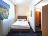 Deluxe Double room with mountain view
