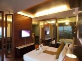 Executive Double Suite