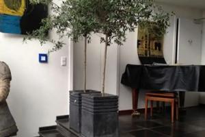 Hotel zur Kranengasse