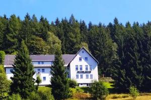 Greizer Kammhutte Gaststatte & Pension, Klingenthal