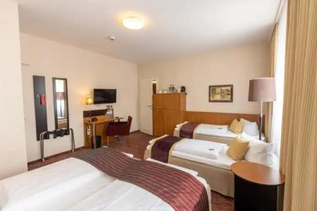 Comfort tom Kyle - 42