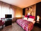 1 Bedroom Junior Suite