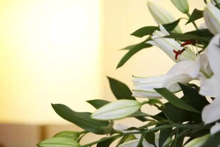 SchlossKarlsruhe - 31