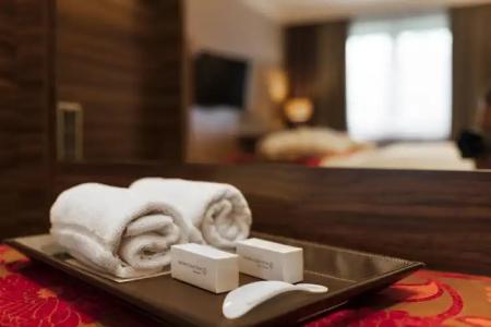 DER HEIDEHOF Conference & SPA Resort - 26