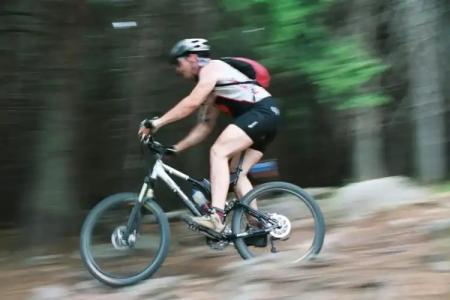 Landhaus Zu den Rothen Forellen - 14