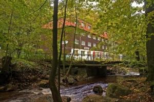 Waldhotel am Ilsestein, Ilsenburg