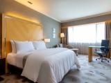 1 Bedroom Deluxe Double Club Suite with city view
