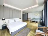 Double Mini Suite