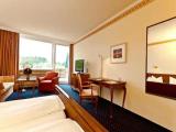 Standard Double room with balcony and with panoramic view