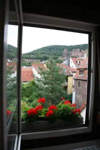 Hotel-Restaurant Hackteufel - 5