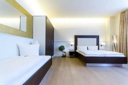 The Heidelberg Exzellenz - 30