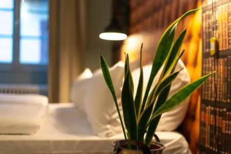 Zur Alten Brücke - 115