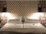1 Bedroom Standard Double room