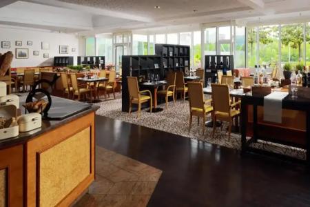 Heidelberg Marriott - 27