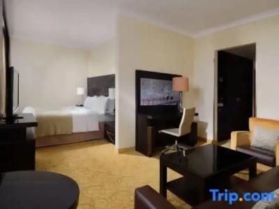 Heidelberg Marriott - 49