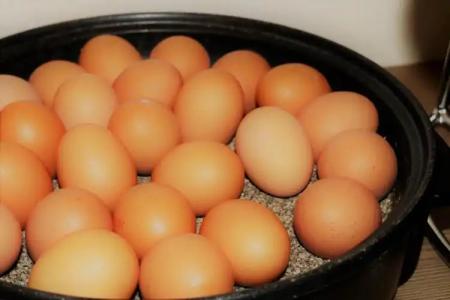 Novum Hamburg Stadtzentrum - 10