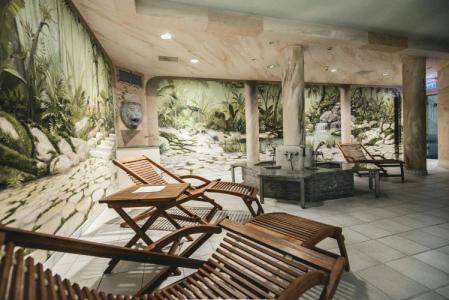 Villa Heine Wellness & Spa - 14