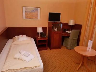 Villa Heine Wellness & Spa - 1