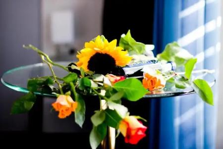 Ambassador-Berlin Grünau - 29