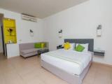 Deluxe Double room with garden view