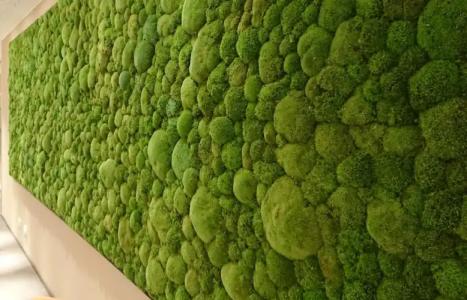 Adesso Göttingen - pay at property on arrival - 19